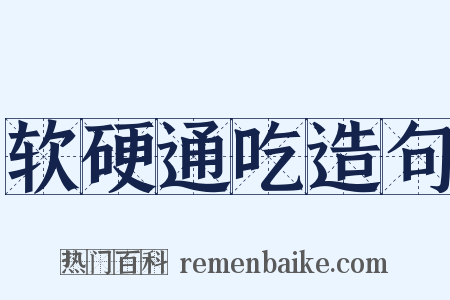 软硬通吃造句是什么意思的图片